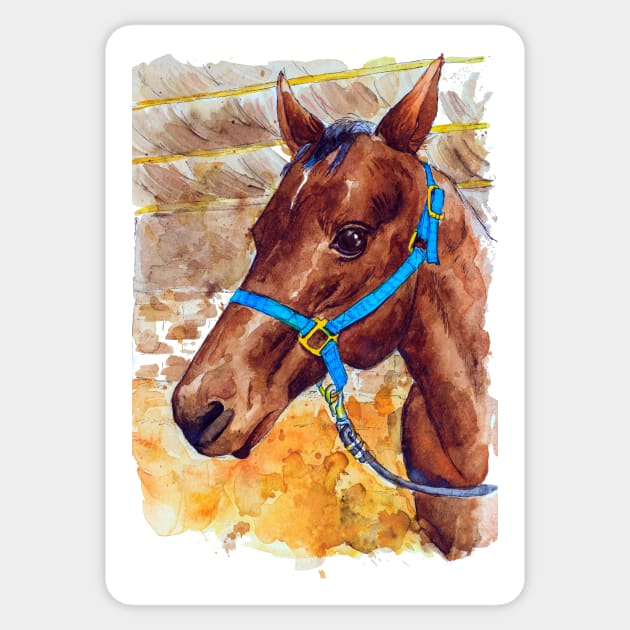 Horse portrait watercolor painting Sticker by Nalidsa